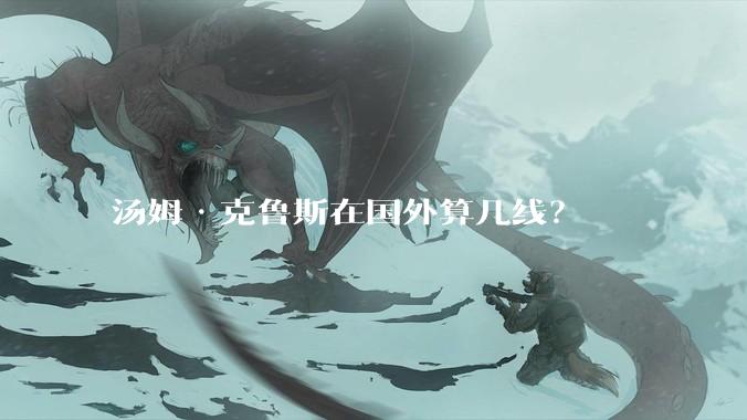 汤姆·克鲁斯在国外算几线？