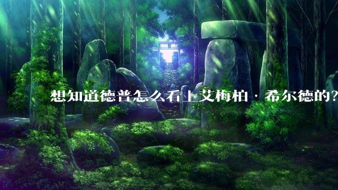 想知道德普怎么看上艾梅柏·希尔德的？