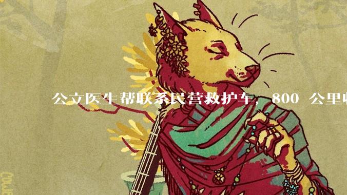 公立医生帮联系民营救护车，800 公里收费 2.8 万元，收费合理吗？救护车收费标准是什么？