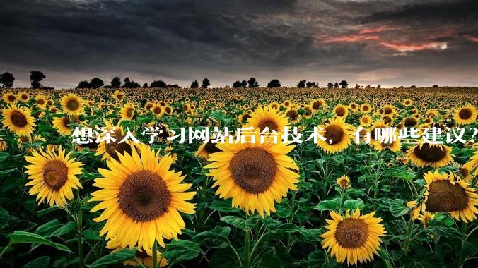想深入学习网站后台技术，有哪些建议？