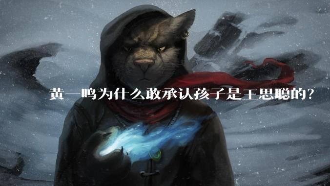 黄一鸣为什么敢承认孩子是王思聪的？