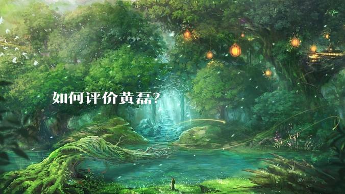 如何评价黄磊？